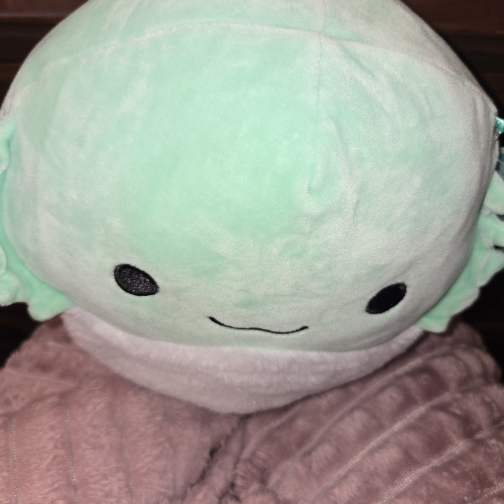 Squishmallow Abe The Bearded Dragon 11” Teal soft plush toy New with tags - Picture 8 of 8
